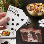Jeu De Cartes Anglais Springer Spaniel (In Situ)