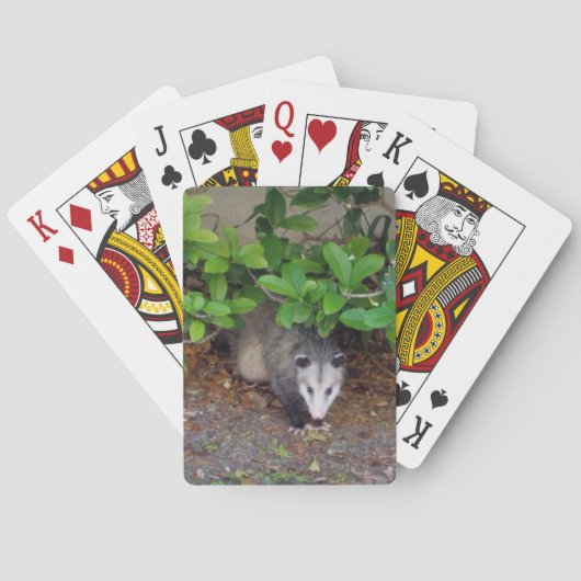 Jeu De Cartes Animal extérieur (dos)