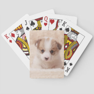 Jeu De Cartes Animaux de bébés cutest Baby Corgi