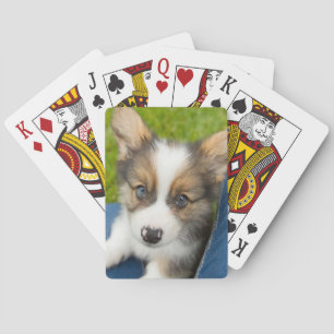 Jeu De Cartes Animaux de bébés cutest   Baby Corgi dans mon geno