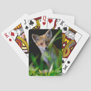 Jeu De Cartes Animaux de bébés cutest   Baby Red Fox