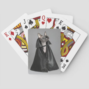 Jeu De Cartes Animaux de bébés cutest   Chat sans poil Sphynx