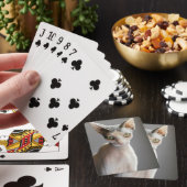 Jeu De Cartes Animaux de bébés cutest | Chat Sphinx (In Situ)