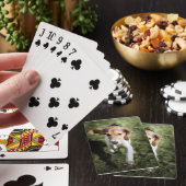 Jeu De Cartes Animaux de bébés cutest | Chiot Beagle (In Situ)