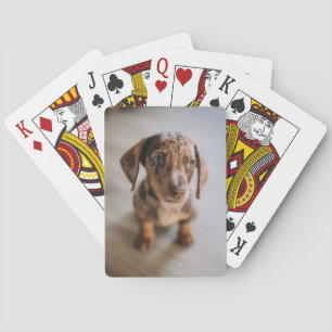 Jeu De Cartes Animaux de bébés cutest   Chiot Brown