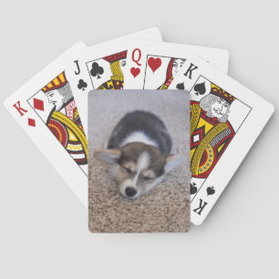 Jeu De Cartes Animaux de bébés cutest   Corgi Chiot sur Shag Rug