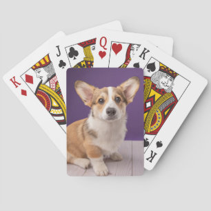 Jeu De Cartes Animaux de bébés cutest Corgi Chiple sur Purple