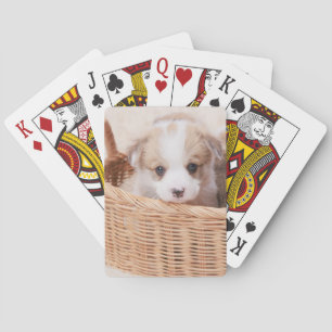 Jeu De Cartes Animaux de bébés cutest   Corgi Miny Puppy