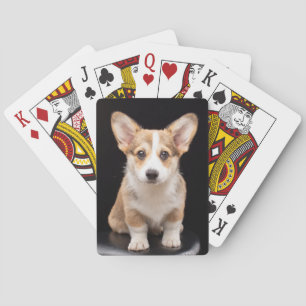 Jeu De Cartes Animaux de bébés cutest   Corgi Puppy Standing Hau