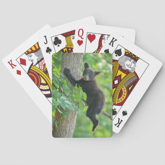 Jeu De Cartes Animaux de bébés cutest | Cube d'ours noir (dos)