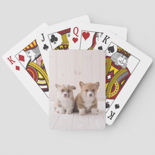 Jeu De Cartes Animaux de bébés cutest | Deux Bébés Corgis assis (dos)