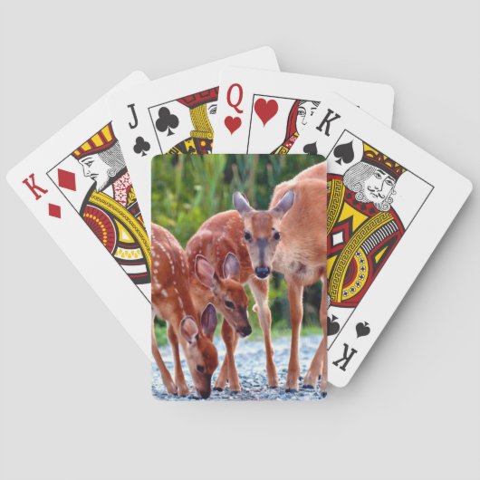 Jeu De Cartes Animaux de bébés cutest | Fawn with Babies (dos)