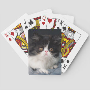 Jeu De Cartes Animaux de bébés cutest Fluffy B&W Kitten