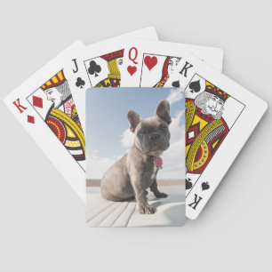 Jeu De Cartes Animaux de bébés cutest   French Bulldog Booking