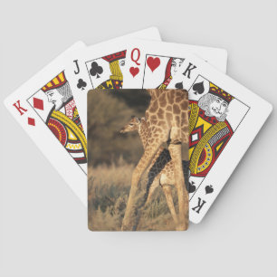 Jeu De Cartes Animaux de bébés cutest   Girafe bébé et parent