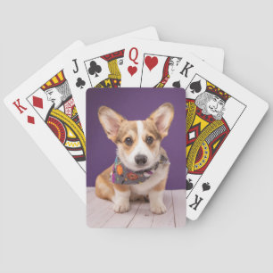 Jeu De Cartes Animaux de bébés cutest   Halloween Corgi
