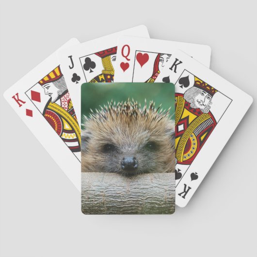 Jeu De Cartes Animaux de bébés cutest | Hedgehog Smile (dos)