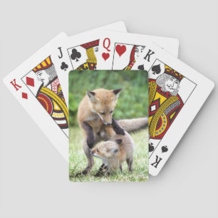 Jeu De Cartes Animaux de bébés cutest Kit et maman Fox adorabl