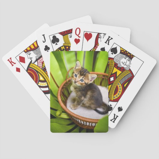 Jeu De Cartes Animaux de bébés cutest | Kitten dans le panier (dos)