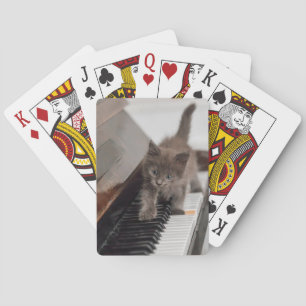 Jeu De Cartes Animaux de bébés cutest   Kitten sur piano