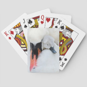 Jeu De Cartes Animaux de bébés cutest   Mère et bébé Mute Swan