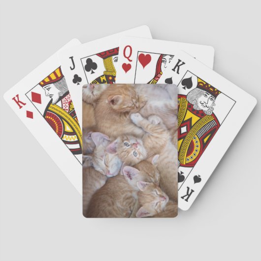 Jeu De Cartes Animaux de bébés cutest | Orange Kitten Pile (dos)
