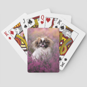 Jeu De Cartes Animaux de bébés cutest   Pekingese Puppy