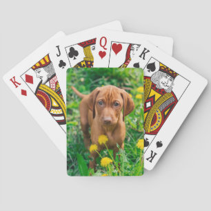 Jeu De Cartes Animaux de bébés cutest Pointeur