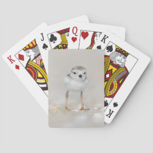 Jeu De Cartes Animaux de bébés cutest   Poussette de tuyauterie