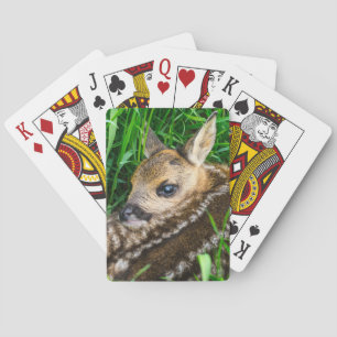 Jeu De Cartes Animaux de bébés cutest Roe Deer Baby