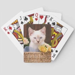 Jeu De Cartes Animaux de bébés cutest   Roses chats et jaunes