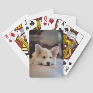 Jeu De Cartes Animaux de bébés cutest Sleepy Corgi Puppy