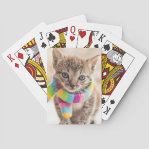 Jeu De Cartes Animaux de bébés cutest Tabby Kitten Écharpe arc