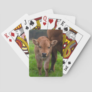 Jeu De Cartes Animaux de bébés cutest   Vache et veau