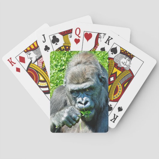 JEU DE CARTES ANIMAUX SAUVAGES - GORILLAS (dos)