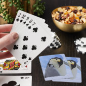 Jeu De Cartes Antarctique. Pingouins empereurs et poussins (In Situ)