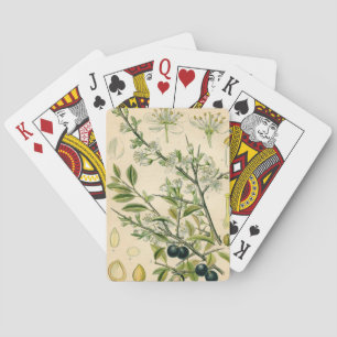 Jeu De Cartes Antique Blackthorn Botanique Imprimé Fleur Berry