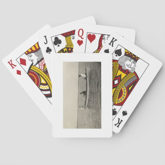 Jeu De Cartes Antique Style Ancien Amis Bateau Playing Cartes (dos)