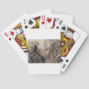 Jeu De Cartes Ants Go Marching