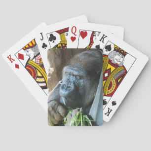 Jeu De Cartes Ape hood ~ Gorille japonais en train de manger