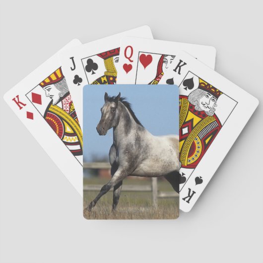 Jeu De Cartes Appaloosa Cheval en course 3 (dos)