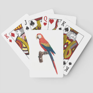 Jeu De Cartes Ara Canga Parrot