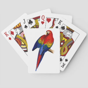 Jeu De Cartes Ara rouge Perroquet Tropical Coloré Oiseau de la F