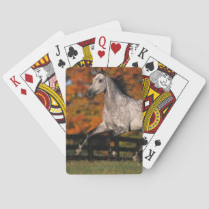 Jeu De Cartes Arab Horse: Autumn 1