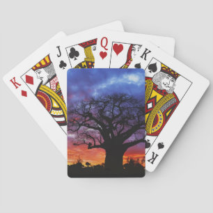 Jeu De Cartes arbre baobab africain, Adansonia digitata, 2