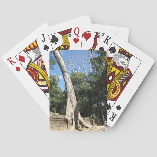 Jeu De Cartes Arbre géant Banyan ... Temple de Ta Prohm, Cambodg (dos)