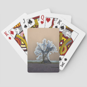 JEU DE CARTES ARBRE LONE