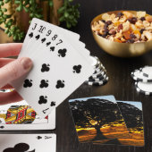 Jeu De Cartes Arbre pendant le matin (In Situ)