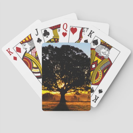 Jeu De Cartes Arbre pendant le matin (dos)