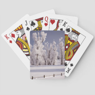 Jeu De Cartes Arbres couverts de gel et clôture, Colorado